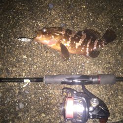 小雨の中ライト